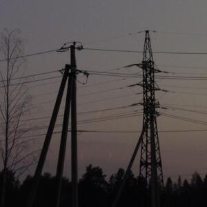 std::living std::fish